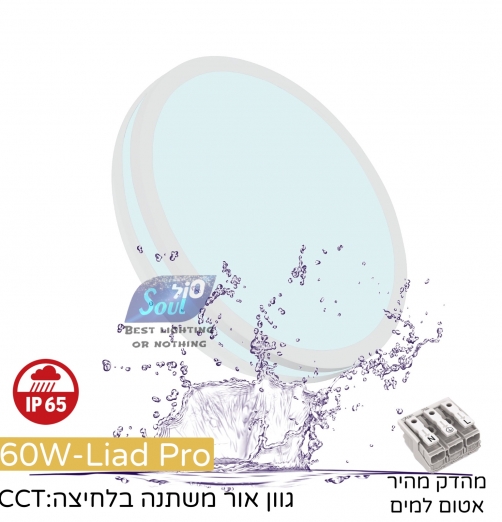 גוף תאורה צמוד תקרה ליעד פרו 60W גימור לבן CCT