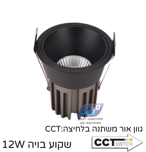 שקוע בויה-שחור בחוץ שחור בפנים דארק לייט 12W דרייבר EAGLE RAISE