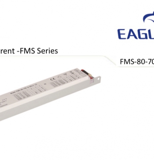 שנאי eagle raise-זרם- FMS-80-700-N