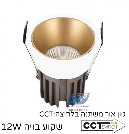 שקוע בויה-לבן בחוץ זהב בפנים דארק לייט 12W דרייבר EAGLE RAISE