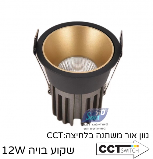 שקוע בויה-שחור בחוץ זהב בפנים דארק לייט 12W דרייבר EAGLE RAISE