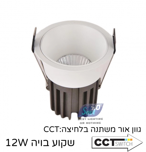 שקוע בויה-לבן בחוץ לבן בפנים דארק לייט 12W דרייבר EAGLE RAISE