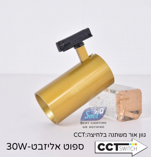 ספוט לפס צבירה- אליזבת CCT- 30W פליז