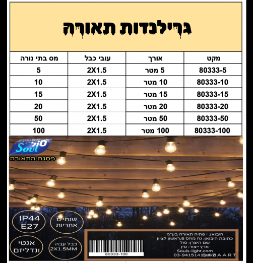 גרילנדה 100 מטר-100 בתי נורה