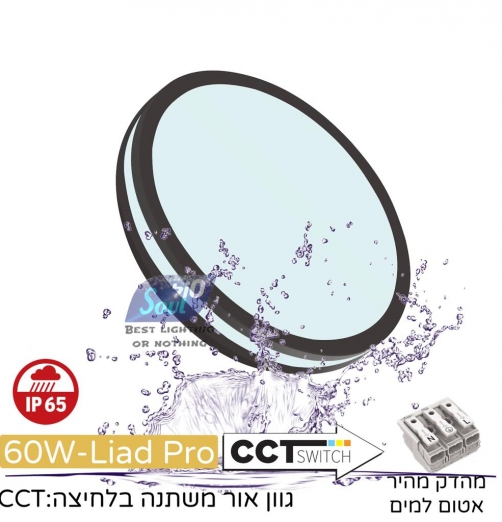 גוף תאורה צמוד תקרה ליעד פרו 60W גימור שחור CCT